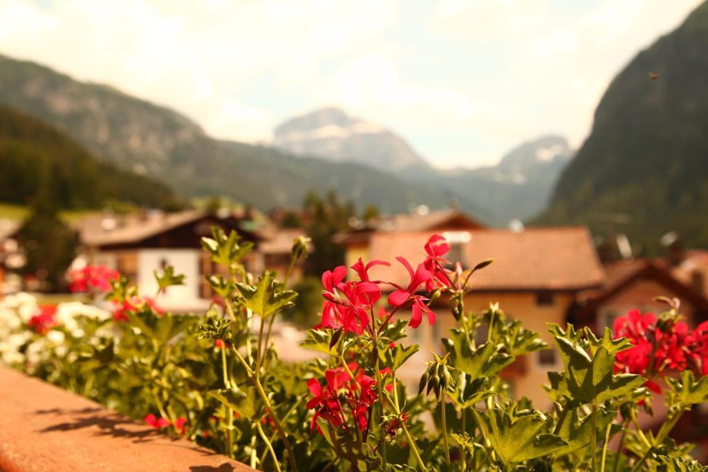 Hotel Garni Pra Fiori Campitello di Fassa Zimmer foto